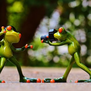 【趣味】プロレス観戦