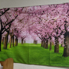 【徹底比較】タペストリーと実際の風景（桜Ver）