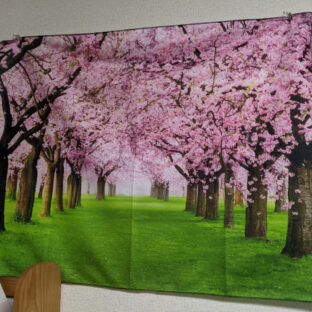 【徹底比較】タペストリーと実際の風景（桜Ver）