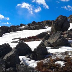 水素がもたらす身体に良いこと【その①】