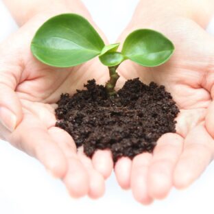 今年のテーマ【サステナブル】